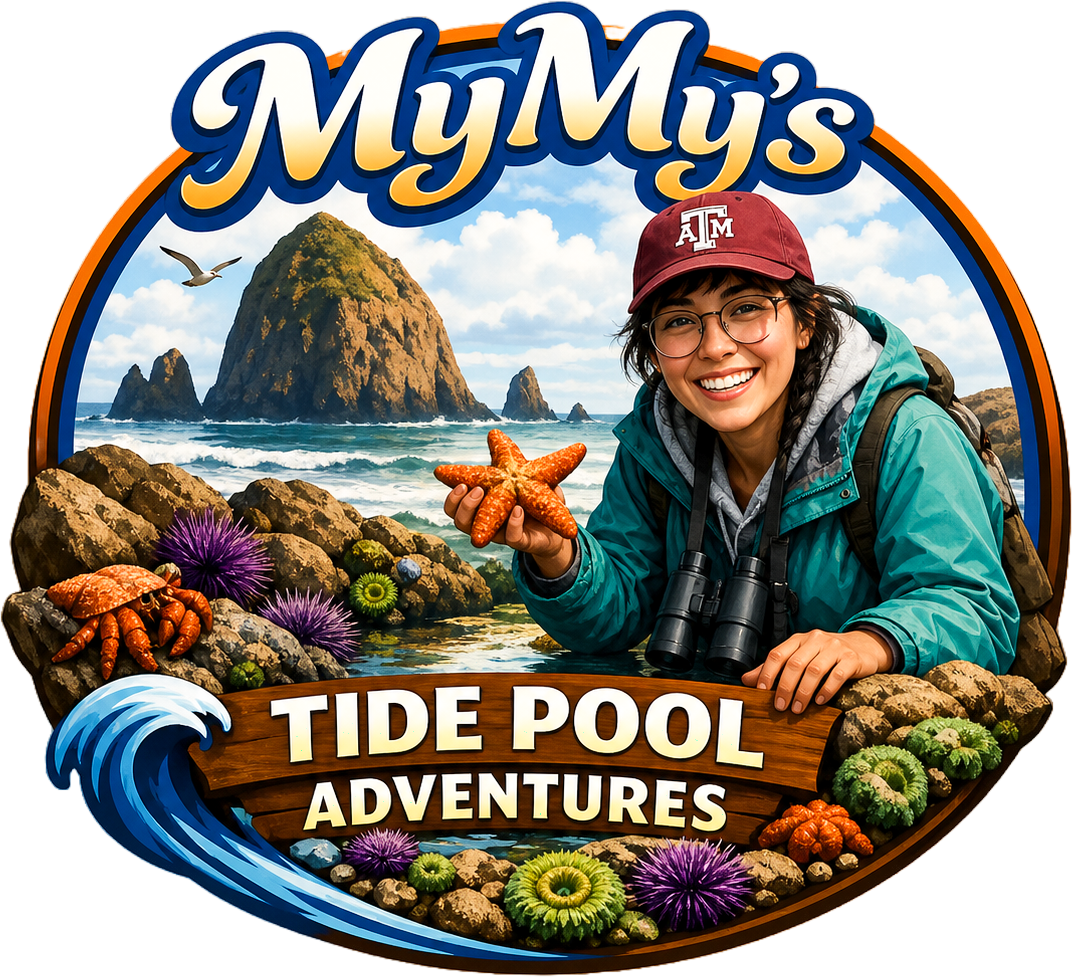 MyMy's Tide Pool Adventures